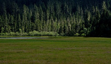 IMG_20160828_000259