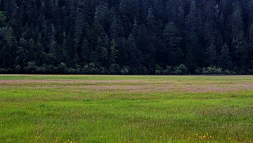 IMG_20160828_001637