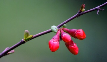DSC09442_