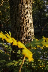 2B906646-68A6-47C8-B765-44CF997DC748/L0/001