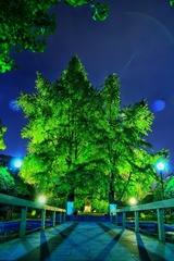 IMG_4343-01