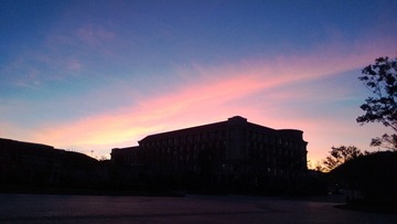 WP_20131126_008