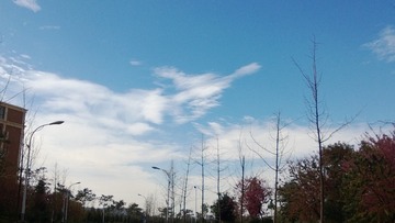 WP_20131210_014
