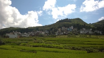 WP_20140805_003