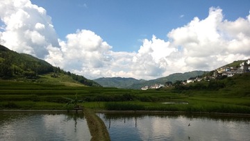 WP_20140805_022
