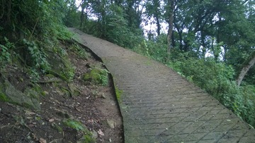 WP_20140718_066
