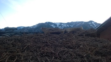 WP_20150122_155