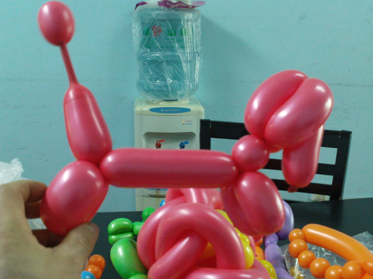 富贵狗的诞生----由长条形气球通过充气-捏球-造型精细加工而成,美