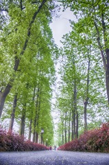 IMGP3071_1