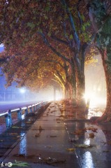 罗远超+冬雨夜+长沙中南大学铁道学院