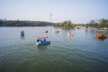 DSCF8510图库