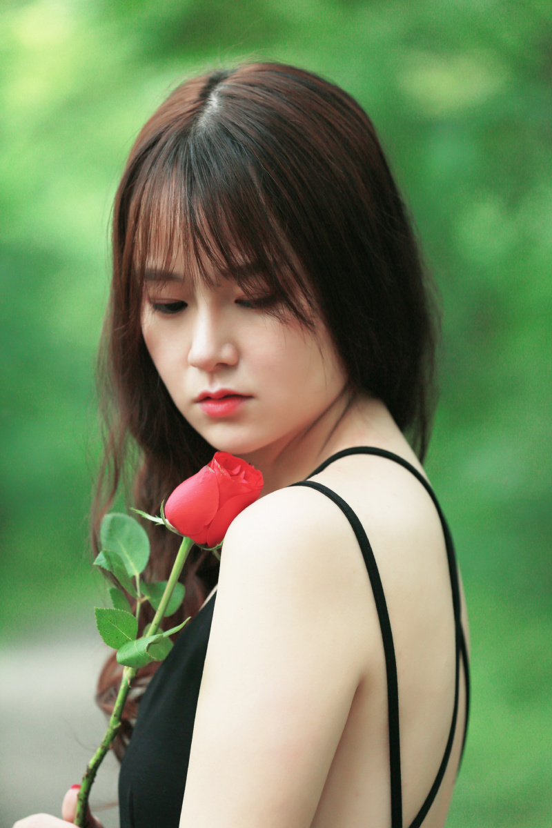 爸爸的儿之森绿篇 - 不吃草的羊kiki