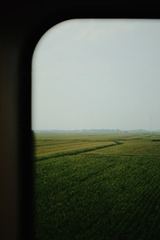9A55ADF6-430D-41A4-93B5-652330DB600C/L0/001