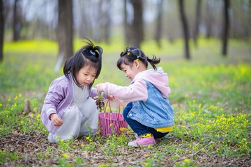 _DSC1250 拷贝