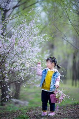 _DSC1290 拷贝