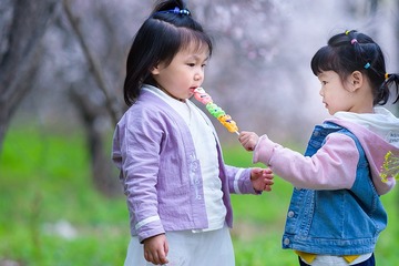 _DSC1553 拷贝