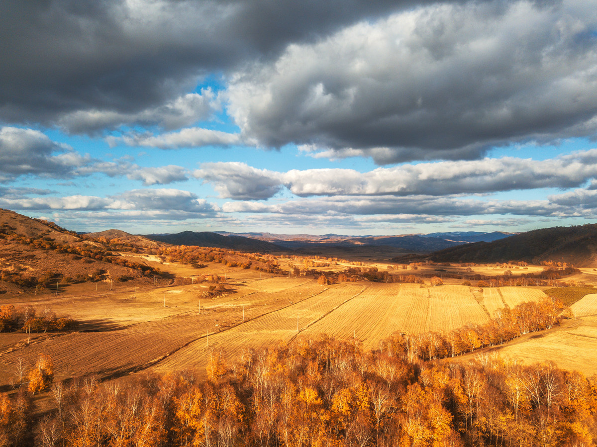 秋天的原野 - 清辉 - 图虫