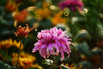 DSC00099_
