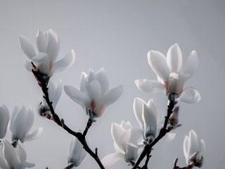 DSCF9243_mix01