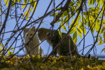 000-DSC_0144