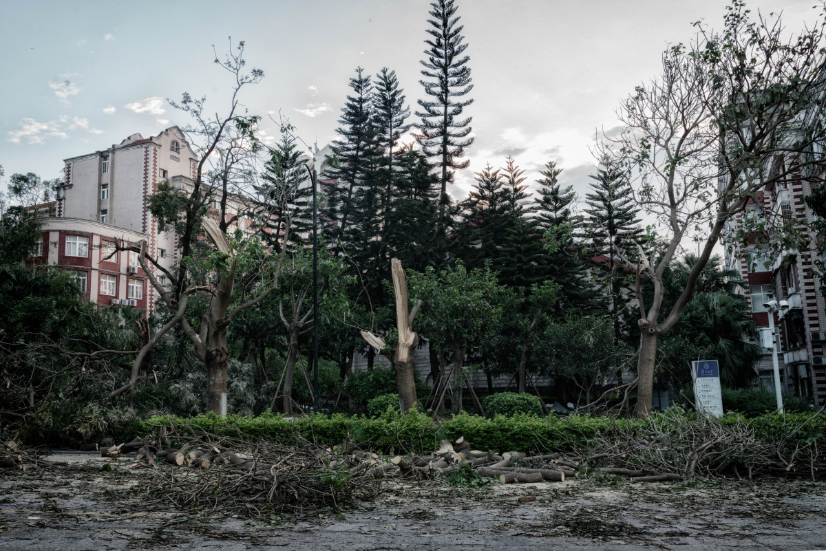 莫兰蒂台风后的厦大满目疮痍