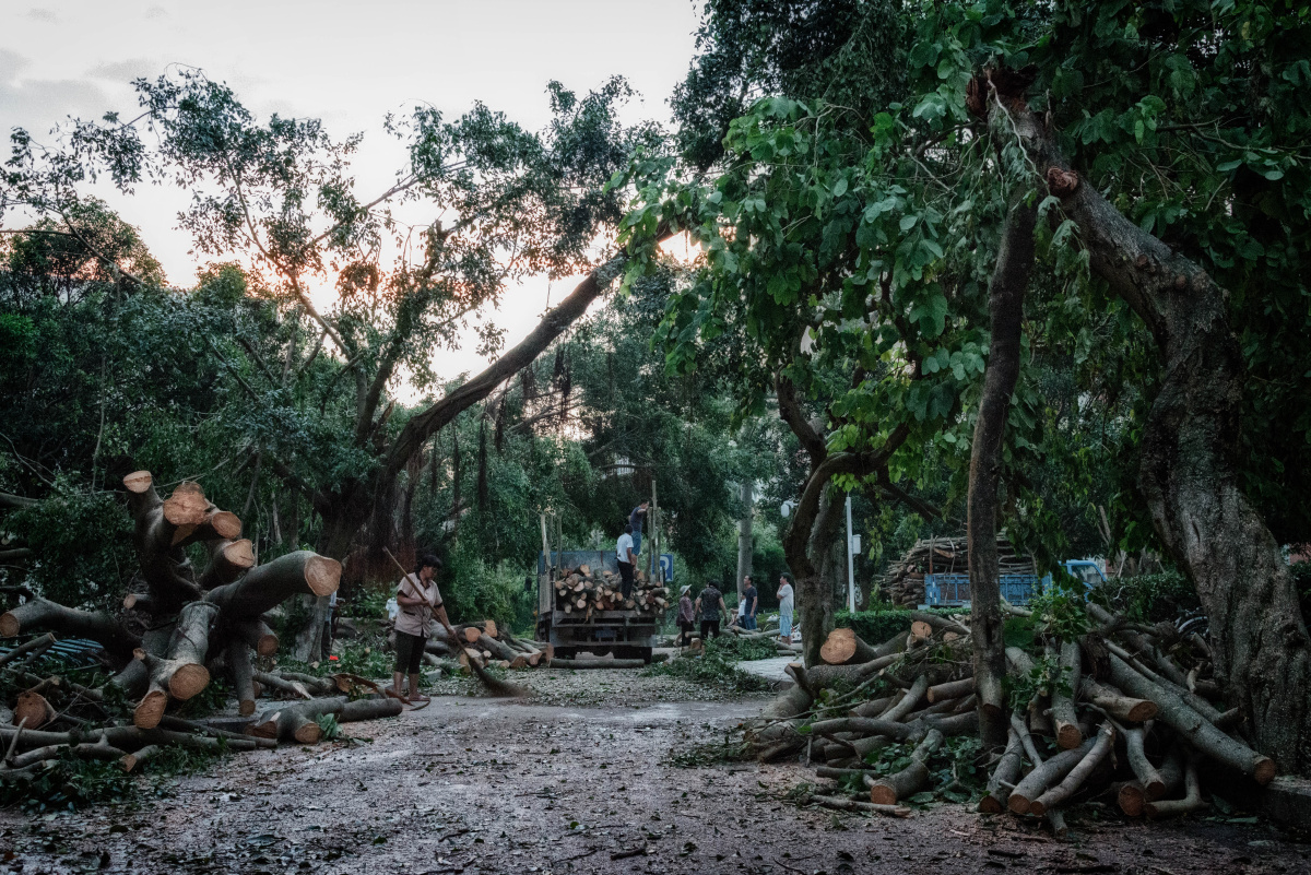 莫兰蒂台风后的厦大满目疮痍