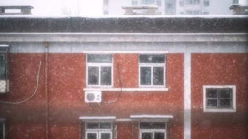 DSCF2463