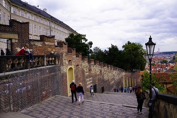 _DSC3151px