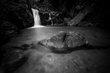 IMG_8583-1