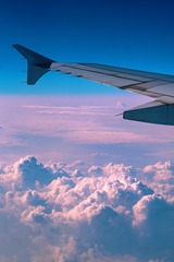 DC146439-89ED-45FA-AF75-427B12C9B9EF/L0/001