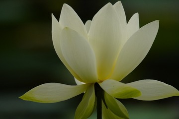 96936