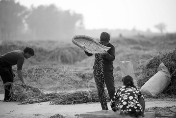 _DSC9658-b