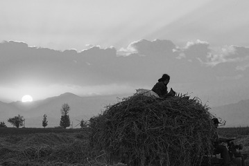 _DSC0593-b