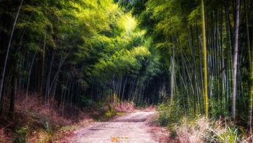 DSC08555水印