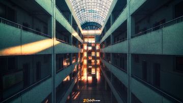 _DSC0381
