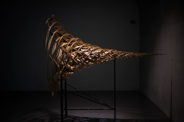 STZ_2382
