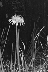 20160428_003921_330422