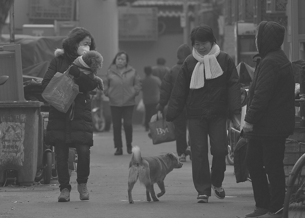 2015年12月19日8.34分,第二次红色预警。南锣鼓巷胡同里,居民们还是与往常一样,在胡同里遛弯、赶集或匆匆赶路上班。<br />