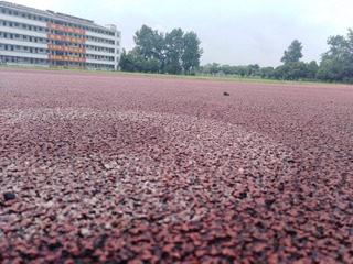 269461