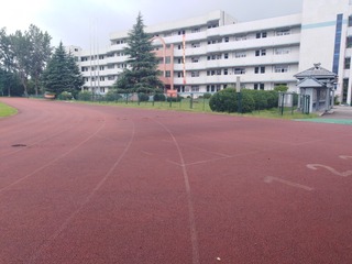 269464