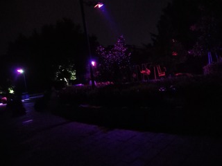 320137