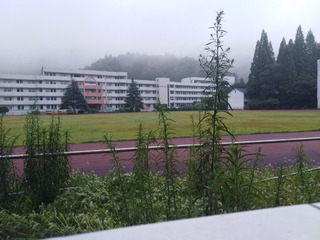 267648