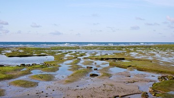 P1020380