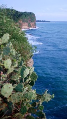 P1020304