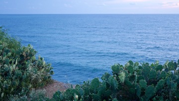 P1020311