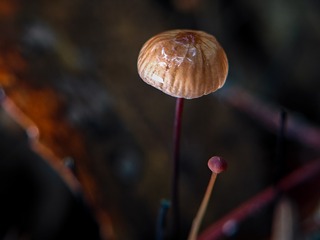 348640