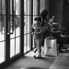 _DSC8254