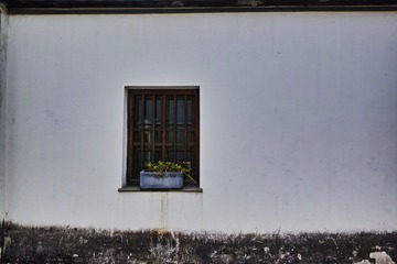 19055