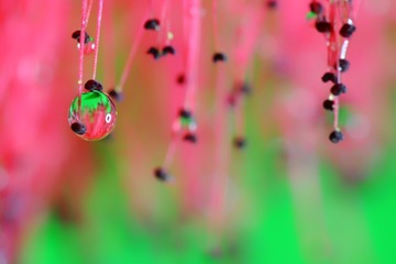 水珠