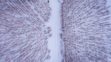 DJI_0007